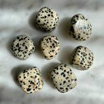 Hiottu dalmatian jasper -kivi